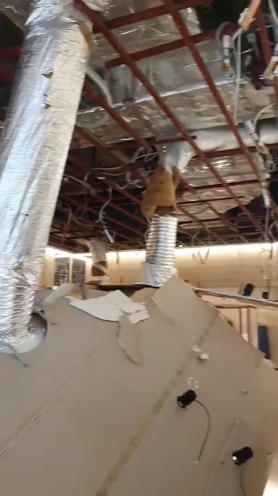 汝矣島、ザ·現代百貨店の天井崩壊mp4