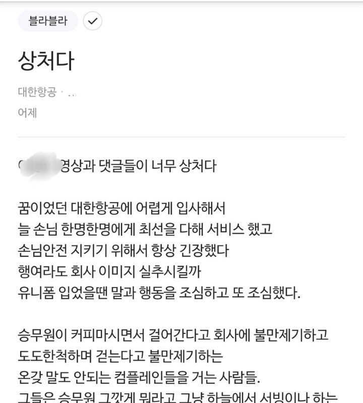 ルックブックYouTuber報告 大韓航空職員が掲載したブラインド書き込み