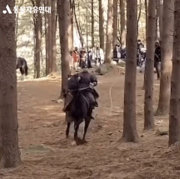 太祖·李芳遠（イ·バンウォン）末死亡事件 撮影当時の動画