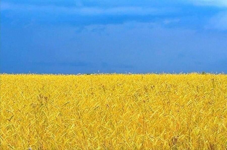 ウクライナ国旗の由来jpg