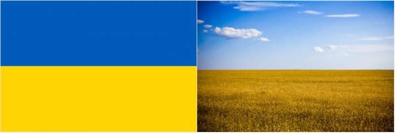 ウクライナの国旗の由来