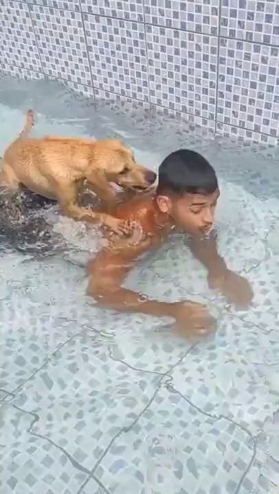 潜水練習を手伝ってくれる子犬.