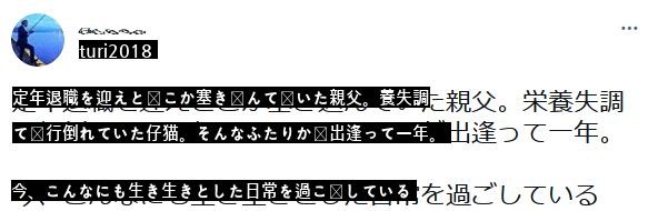 父と猫の和やかな出会い