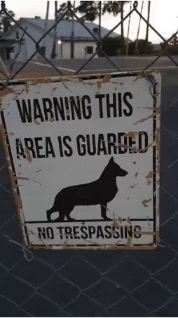 今この区域は警備犬が守っています。