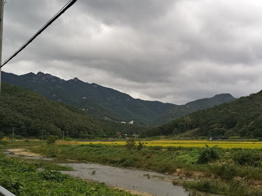 他のことは分からなくても公共交通機関があるのにバイクにどうして乗るのかという言葉は我慢できない。