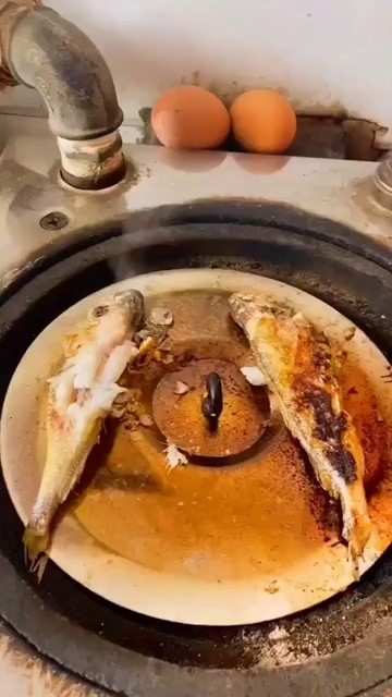 魚を焼くのを見物する猫たち。