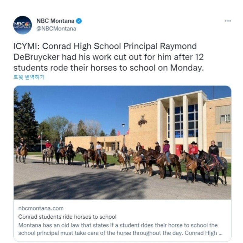 アメリカの高校生12名が馬に乗って登校した理由