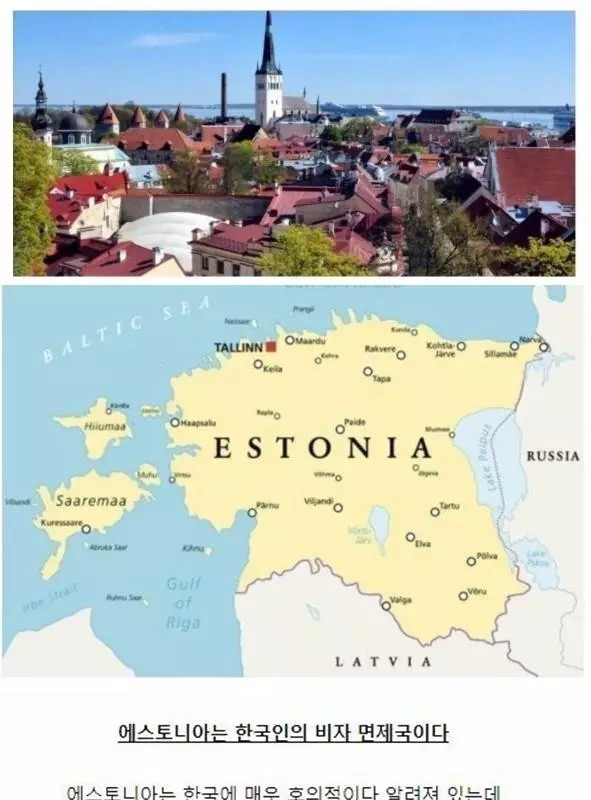 エストニア韓国人国籍入国審査