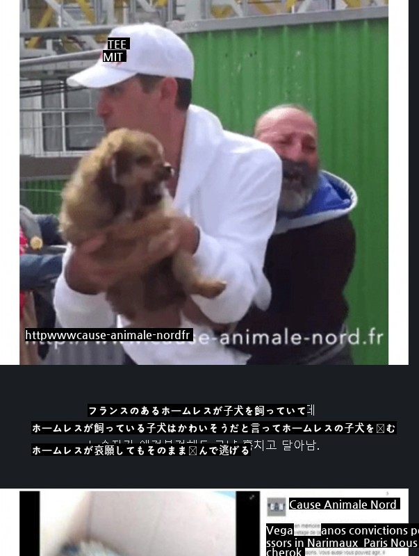 子犬がかわいそうだと奪っていったフランスの動物団体