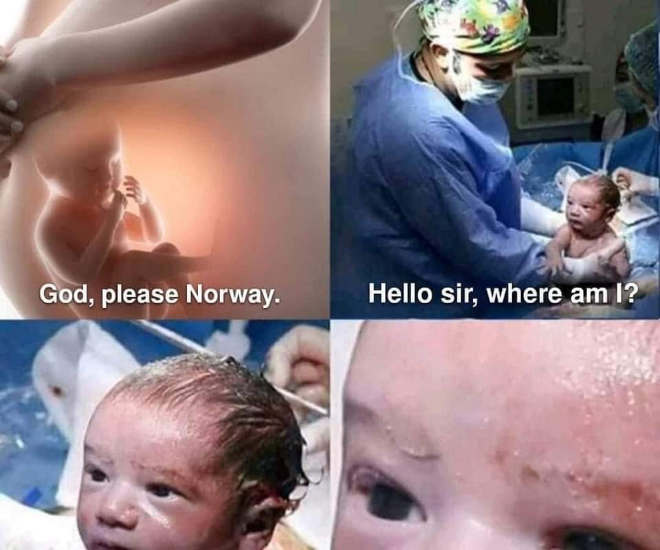 どうかノルウェーで生まれるようにしてください。
