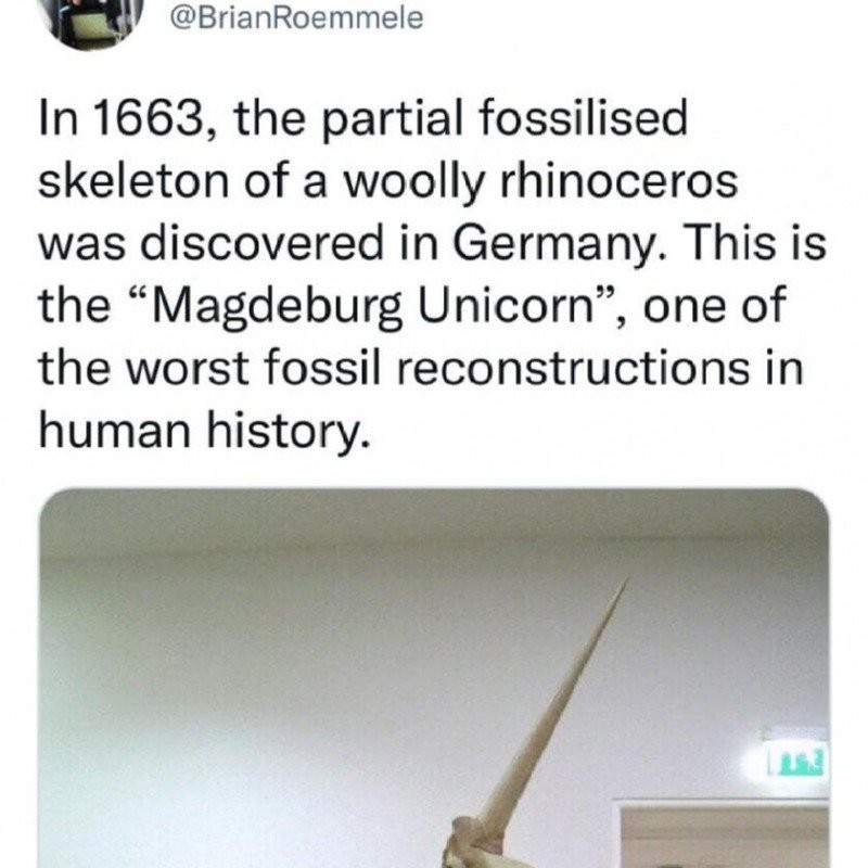 人類史上最悪の化石復元jpg