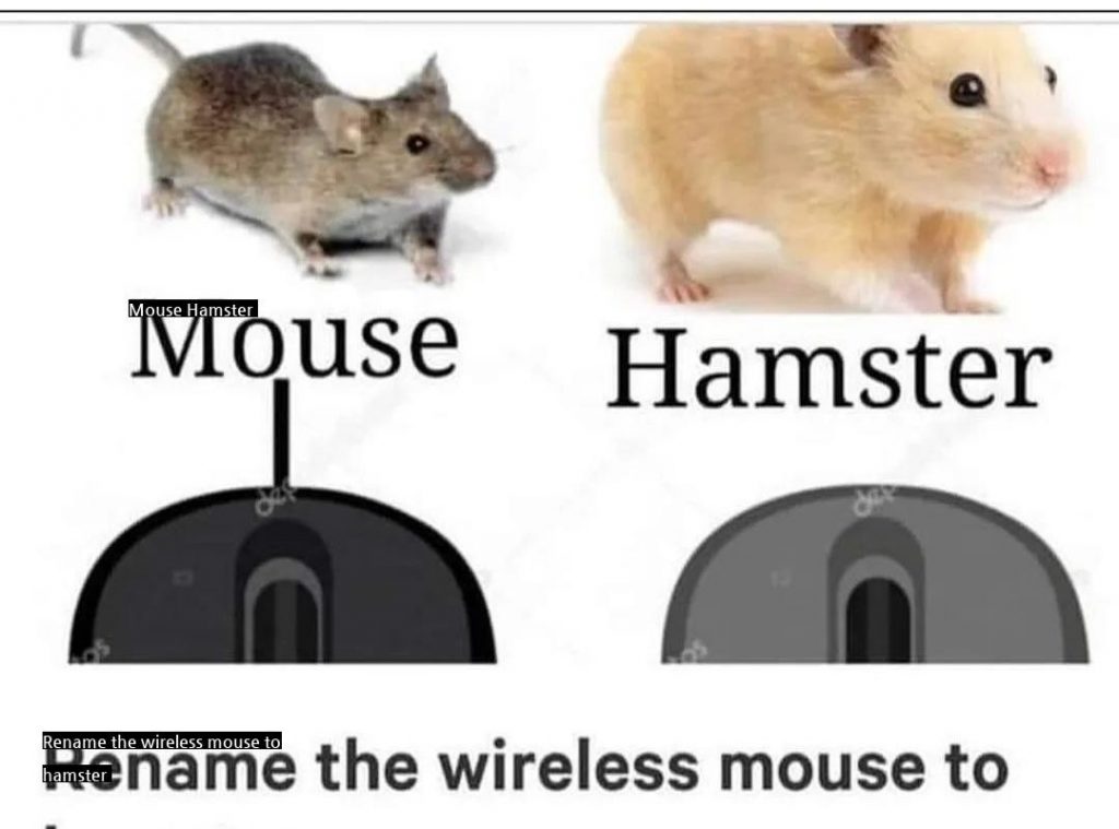 ワイヤレスマウスの名称変更請願