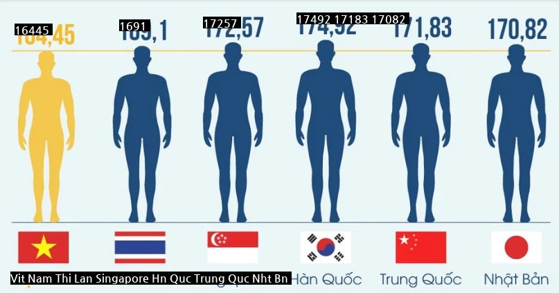 日中韓と東南アジアの平均身長