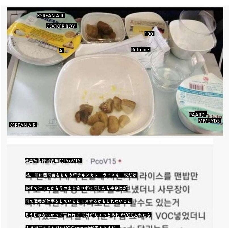 大韓航空機内食クレーム事件jpg