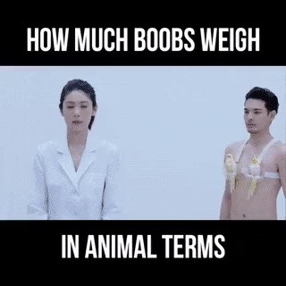 ●動物で見分ける女の胸の重さを体感