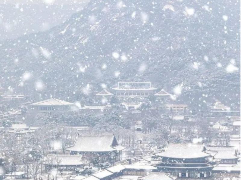 雪の降る景福宮の風景