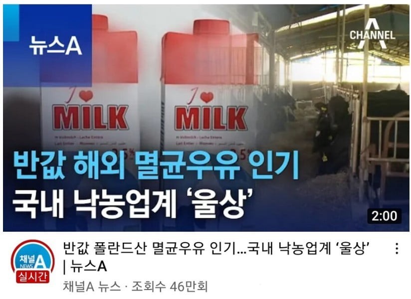 ポーランド牛乳に押された韓国牛乳業界の切り札jpg
