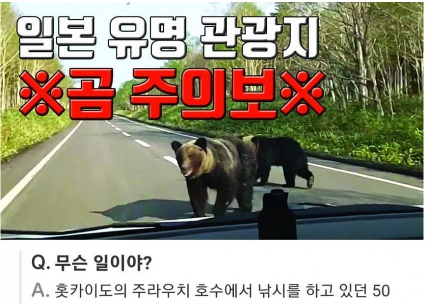 ゾクゾク北海道熊警報