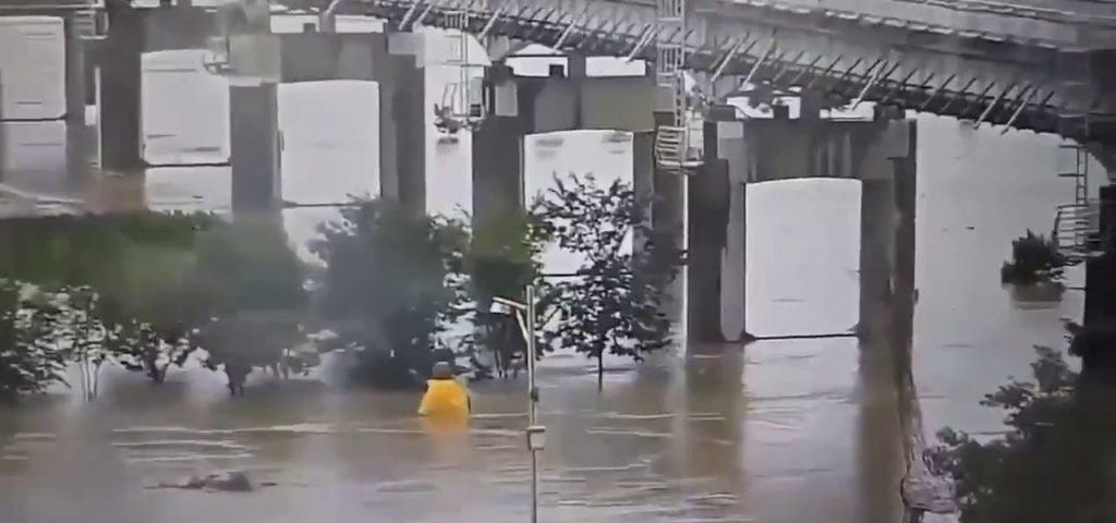 リアルタイム豪雨で流される公州市の熊jpg