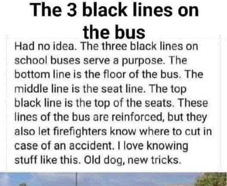 スクールバスに黒い線が三つある理由