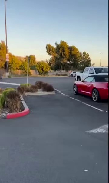 (SOUND)アメリカの駐車場からトランクが引き裂かれるのにかかる時間