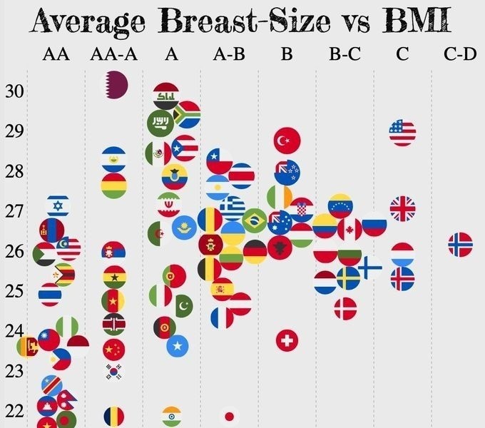 国別平均バストサイズとbmi