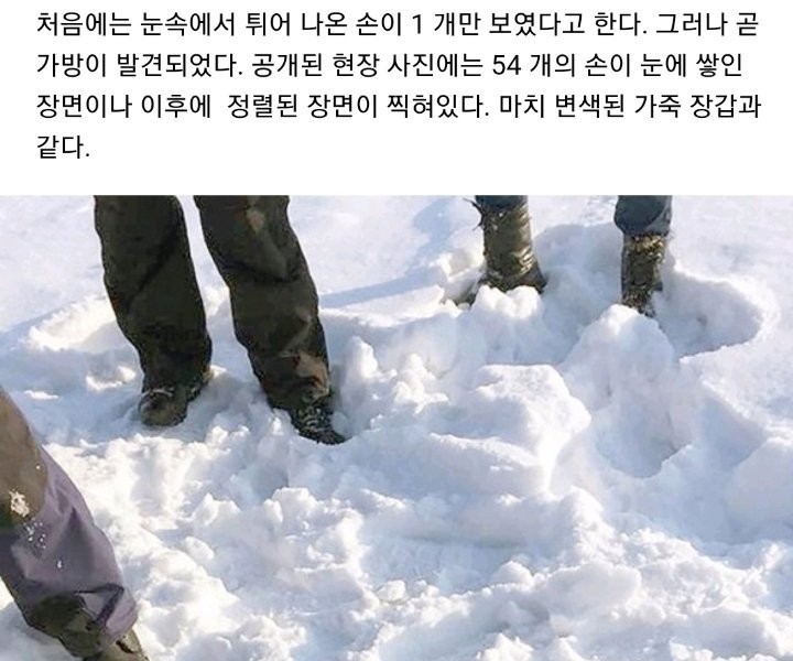 シベリアで発見された54のヒト手首