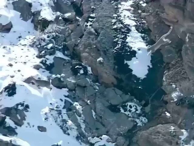 本当に危険な雪印の狩りgif