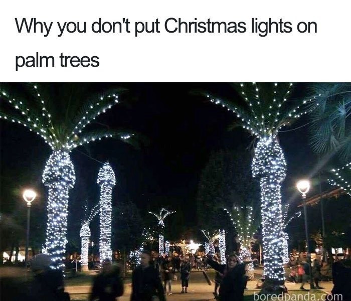 ヤシの木をクリスマスツリーとして使わない理由