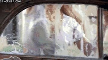 熱心に洗車する女性