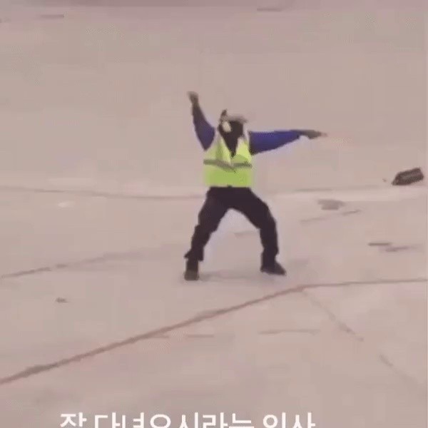 飛行機が出発する際に整備士が手を振る意味