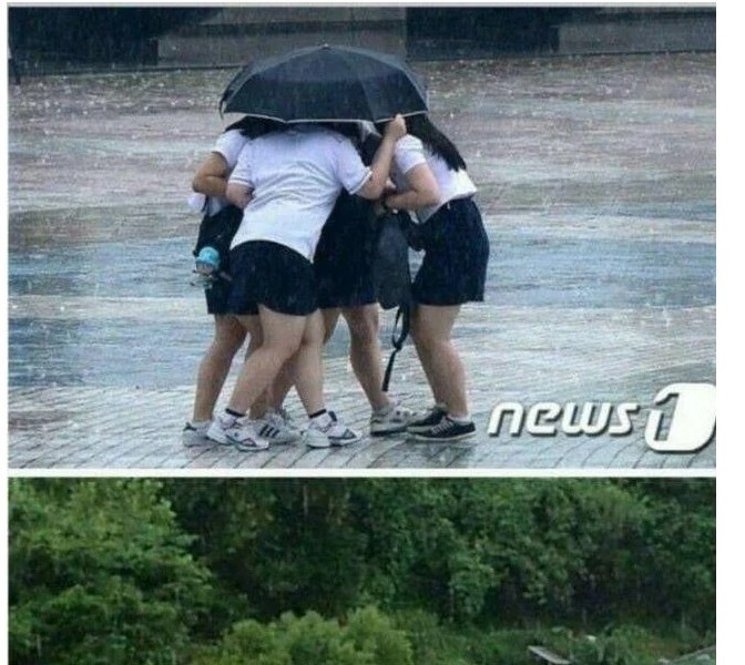傘がない時、男子生徒と女子生徒の差
