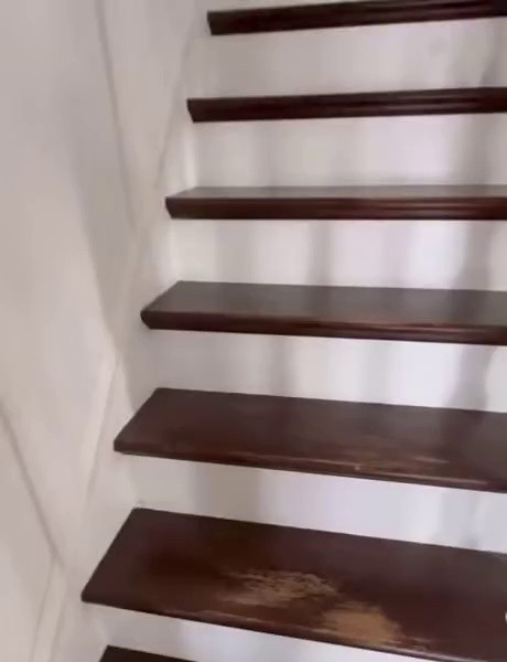 (SOUND)階段に残った愛犬の席