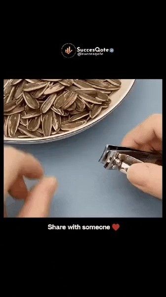 爪切りの活用法