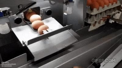 自動で卵を割る機械
