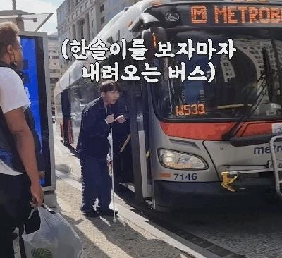 韓国とアメリカのバス比較