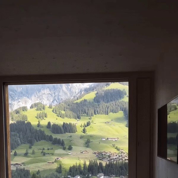 あるスイスのホテル ウィンドウビュー