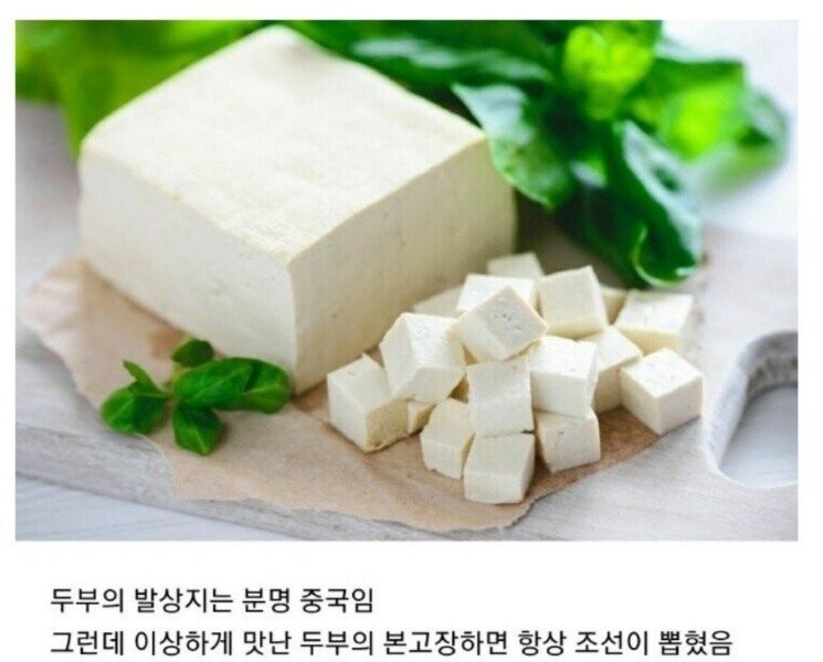 豆腐グルメで噂された朝鮮