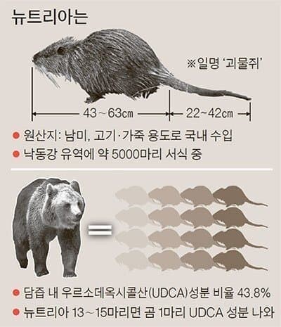 韓国でニュートリア個体数が急減する理由