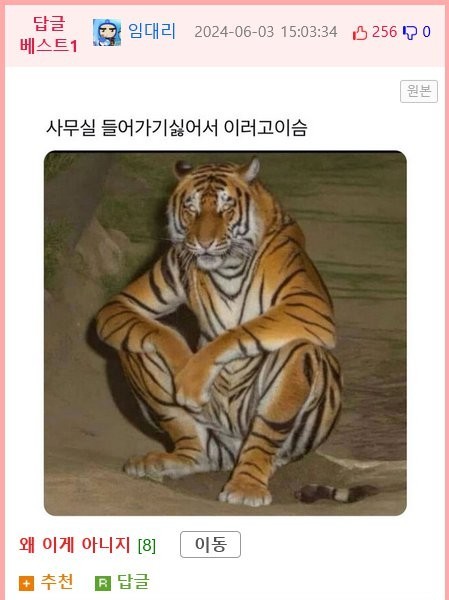 朝鮮時代の絵で虎の顔が醜い緑の理由
