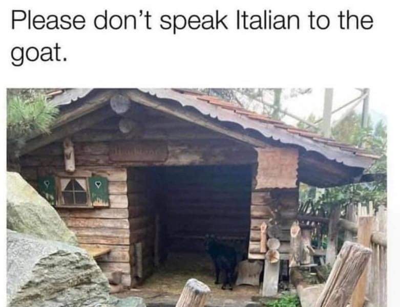 注意：ヤギにイタリア語を話さないでください。