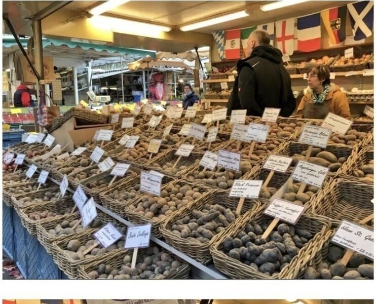 韓国人が外国でジャガイモを買うときに戸惑う理由
