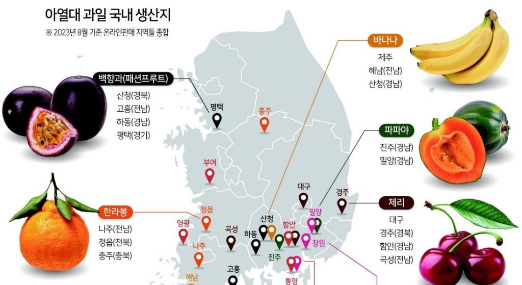 気候変動が変わった朝鮮半島の果物地図