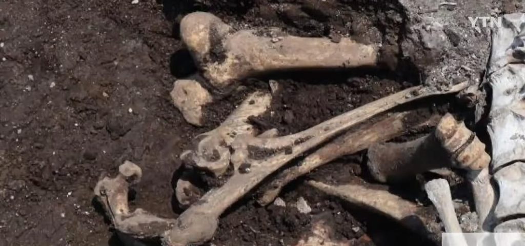 鍾路で500年前の推定小骨発見