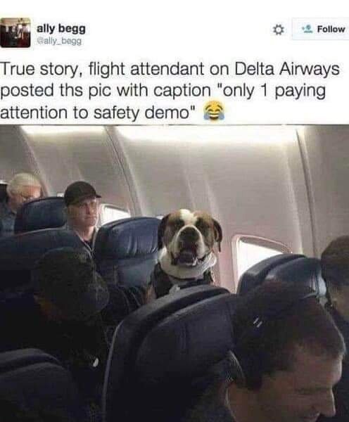 飛行機の安全規則を説明するのにちょうど1人だけ注意して聞く