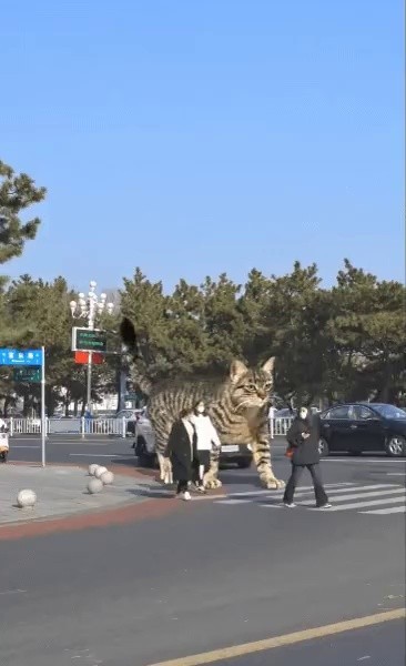 横断歩道歩行信号を守る出勤道の道