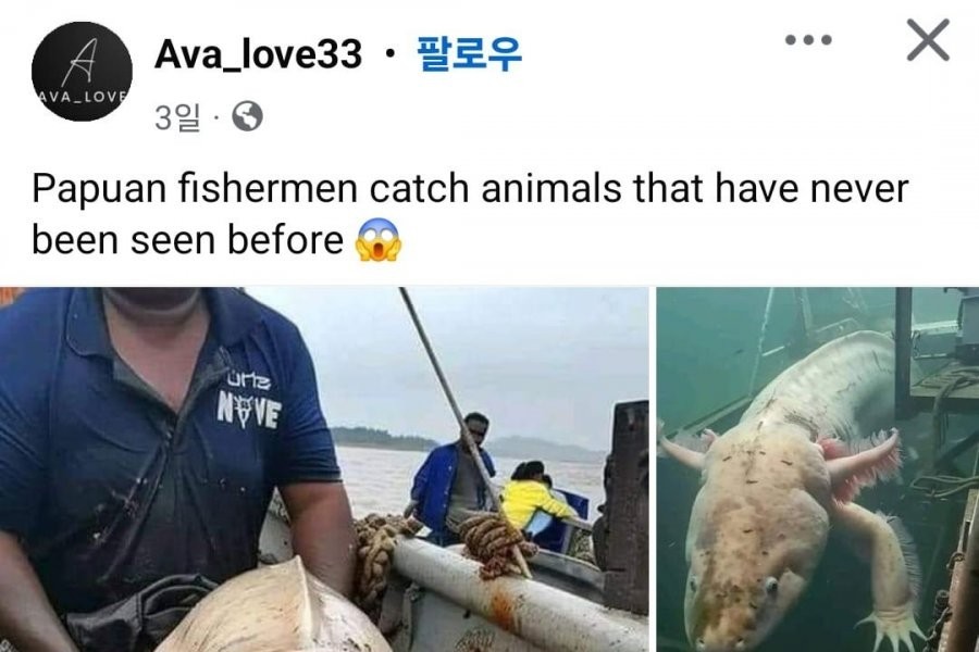 海洋で発見された衝撃生命体ㄷ.jpg