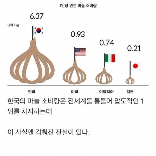 韓国ニンニク消費量1位の隠された事実