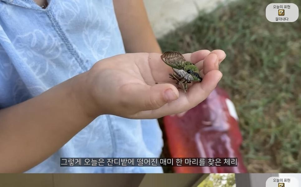 オリバー先生と一緒にチェリーの特別な日