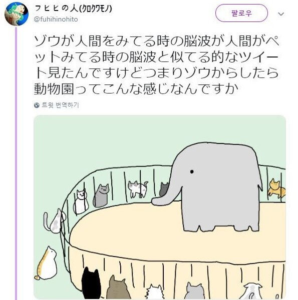 人間を眺めるとき象の脳波.jpg